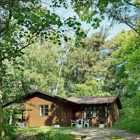 Tranquil Retreat - By Traum レンネ